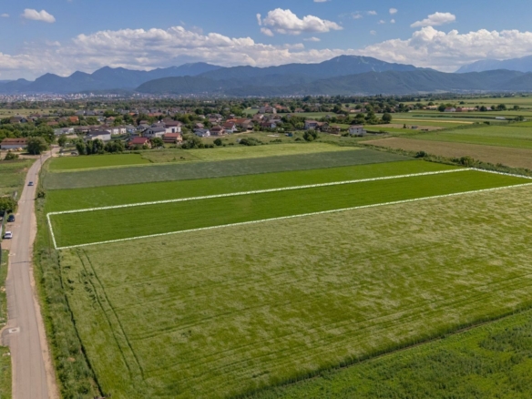 Teren 9.300 mp Stupini | Front 45.59 m la Asfalt | PUG Zonă L1c