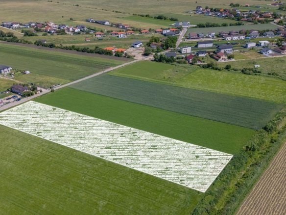 Teren 9.300 mp Stupini | Front 45.59 m la Asfalt | PUG Zonă L1c