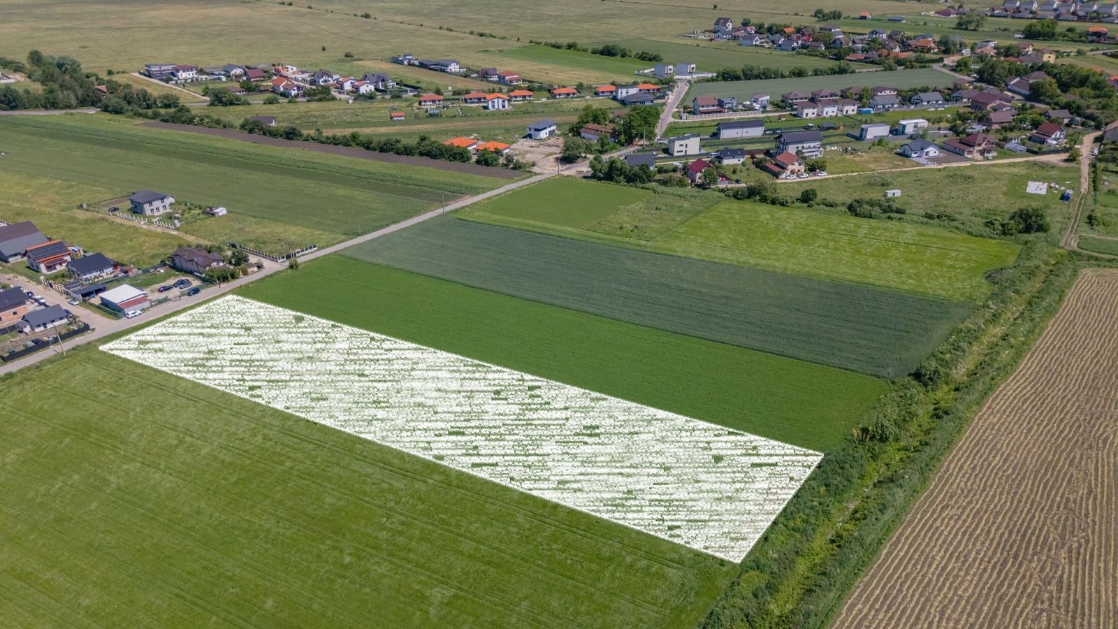 Teren 9.300 mp Stupini | Front 45.59 m la Asfalt | PUG Zonă L1c