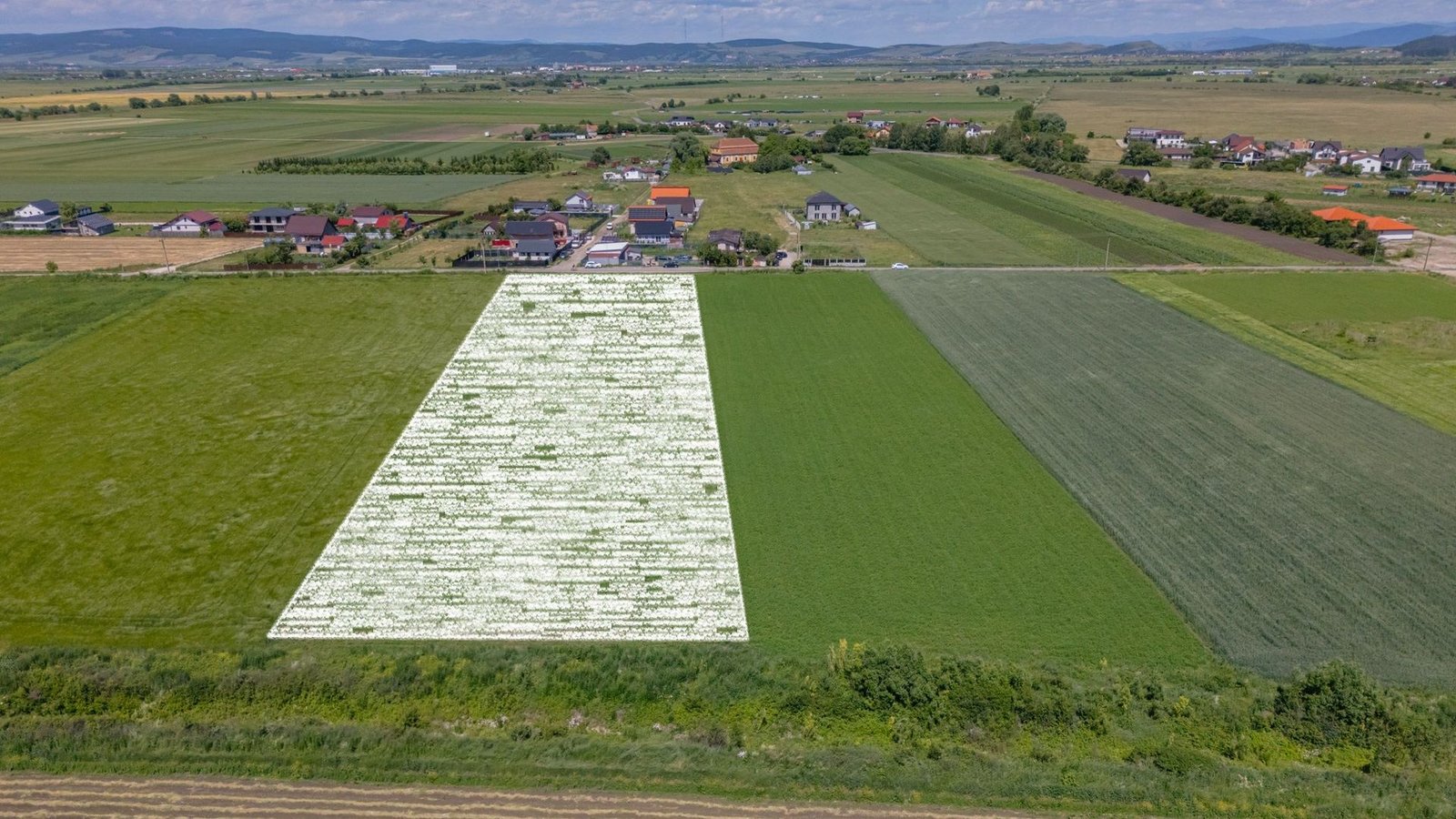 Teren 9.300 mp Stupini | Front 45.59 m la Asfalt | PUG Zonă L1c