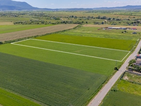 Teren 9.300 mp Stupini | Front 45.59 m la Asfalt | PUG Zonă L1c