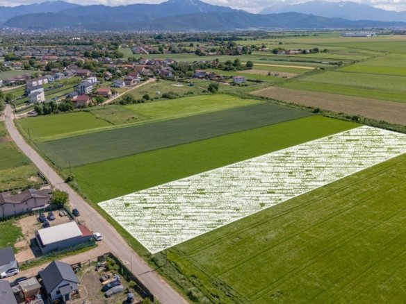 Teren 9.300 mp Stupini | Front 45.59 m la Asfalt | PUG Zonă L1c