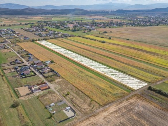 Teren Intravilan Bod | 15.000 mp | Zona Uranus – Constelației