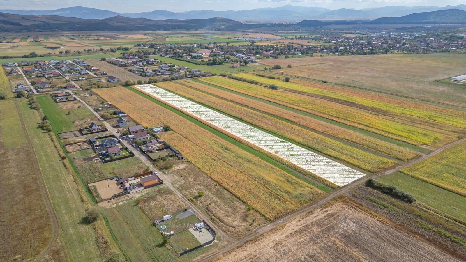 Teren Intravilan Bod | 15.000 mp | Zona Uranus – Constelației