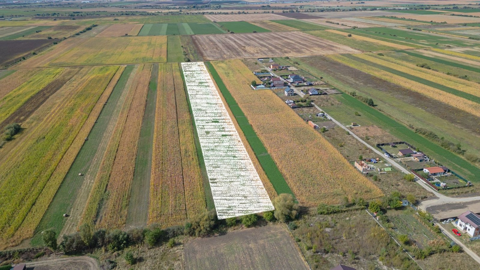 Teren Intravilan Bod | 15.000 mp | Zona Uranus – Constelației