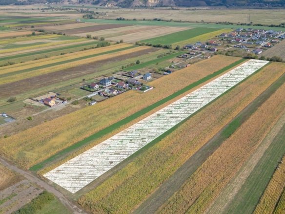 Teren Intravilan Bod | 15.000 mp | Zona Uranus – Constelației