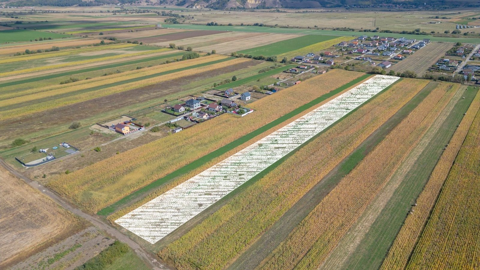 Teren Intravilan Bod | 15.000 mp | Zona Uranus – Constelației