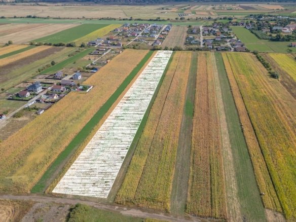 Teren Intravilan Bod | 15.000 mp | Zona Uranus – Constelației