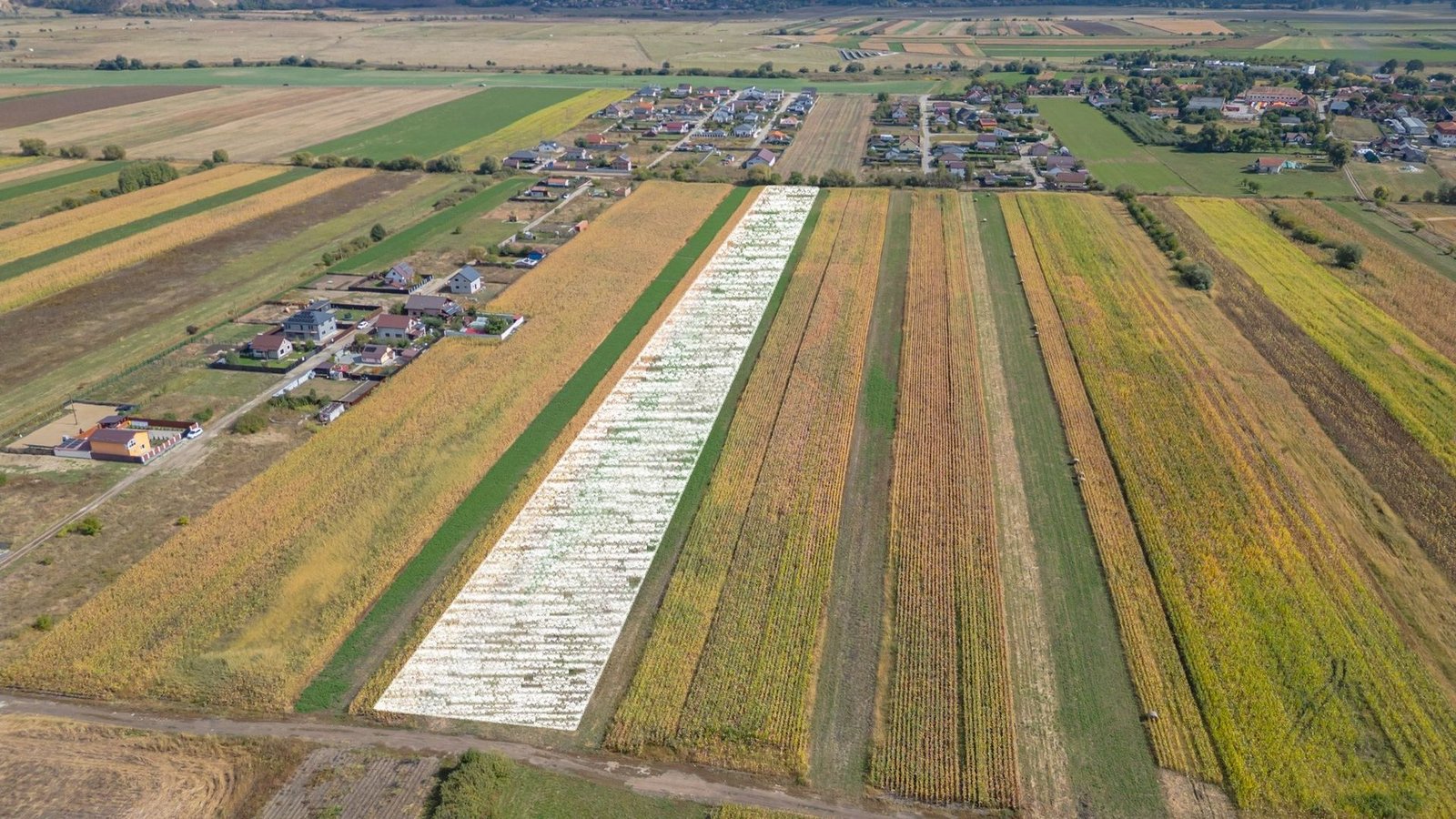 Teren Intravilan Bod | 15.000 mp | Zona Uranus – Constelației