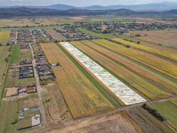 Teren Intravilan Bod | 15.000 mp | Zona Uranus – Constelației