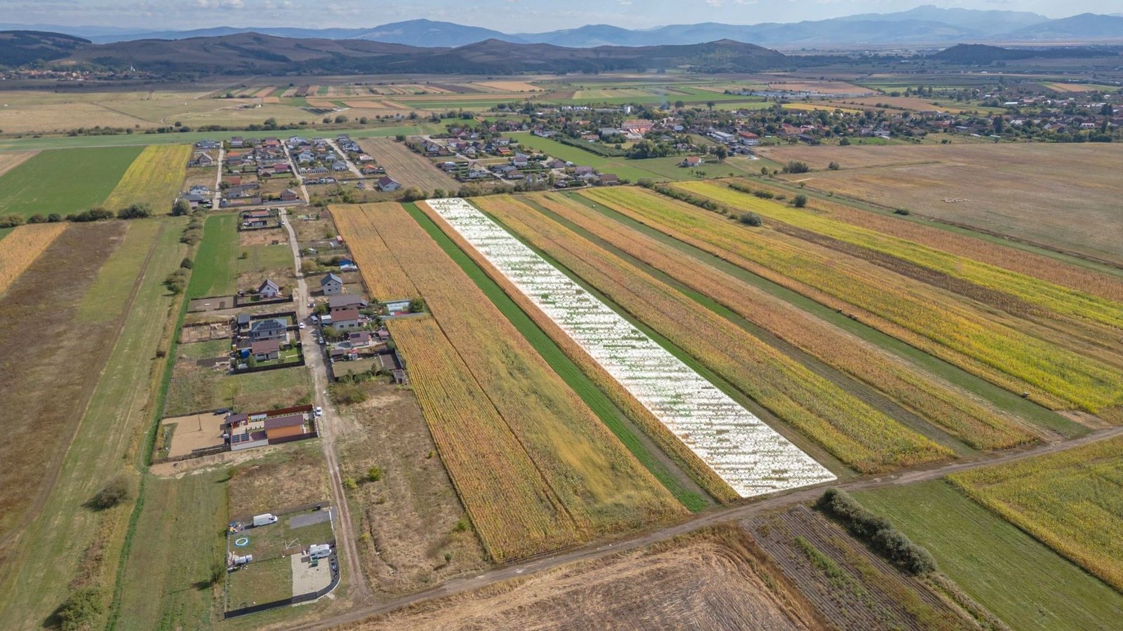 Teren Intravilan Bod | 15.000 mp | Zona Uranus – Constelației