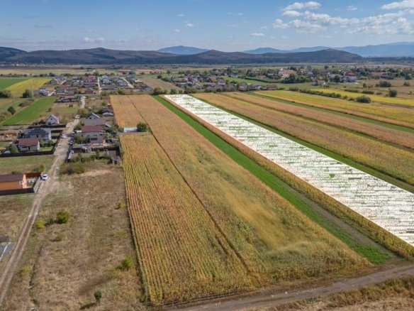 Teren Intravilan Bod | 15.000 mp | Zona Uranus – Constelației