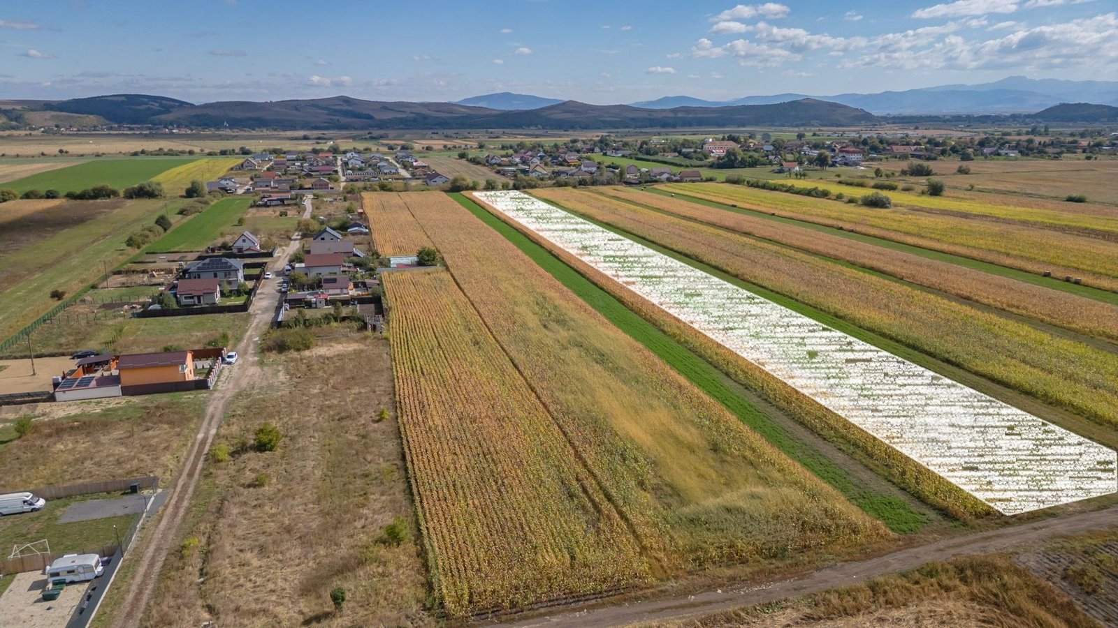Teren Intravilan Bod | 15.000 mp | Zona Uranus – Constelației